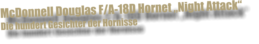McDonnell Douglas F/A-18D Hornet Night Attack  Die hundert Gesichter der Hornisse