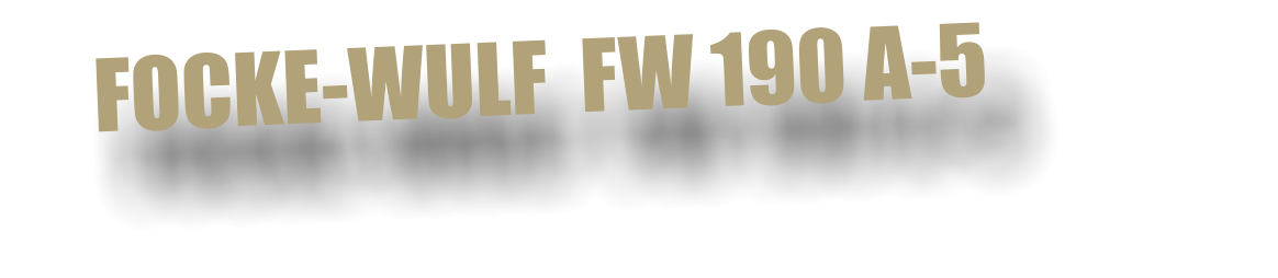 FOCKE-WULF  FW 190 A-5