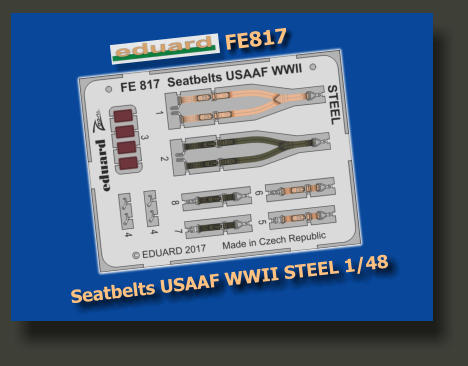 FE817 Seatbelts USAAF WWII STEEL 1/48