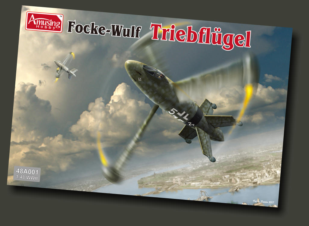 Focke Wulf Triebflügel Amusing Hobby 48A001