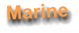 Marine